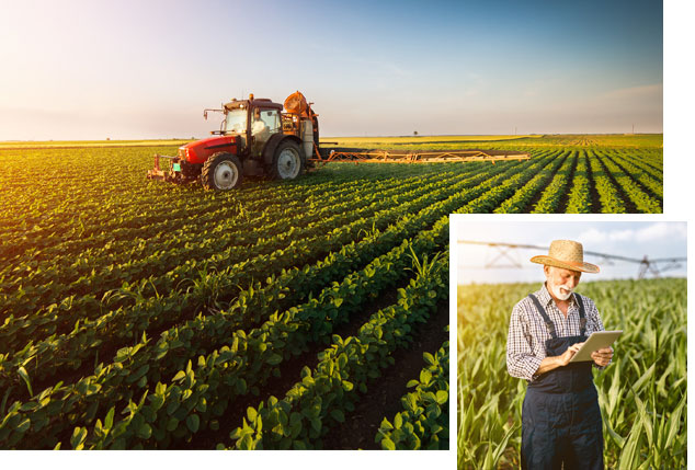 La France et l’agriculture